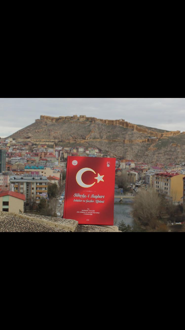 Hayrettin Haluk Akkoyunlu